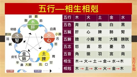 五行相生相剋圖|【五行相剋圖】五行相生相剋圖：掌握元素力量，破解健康與運勢。